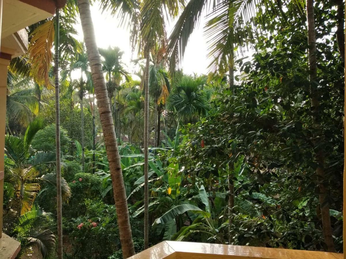 Indraprasth Apartment Palolem Exterior photo